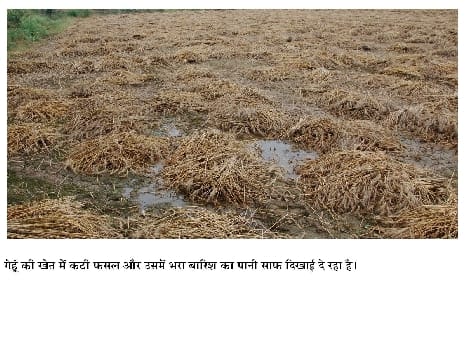 Waste from the rain on the road, came provider