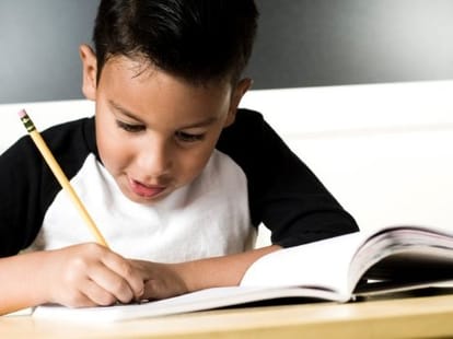 children of government official should study in government primary schools only