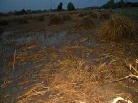 Rain disaster on farmers