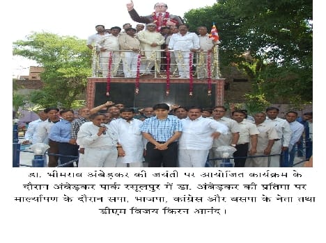 Ambedkar 's birth anniversary celebration