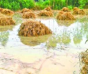 4 kisan dead in pratapgarh