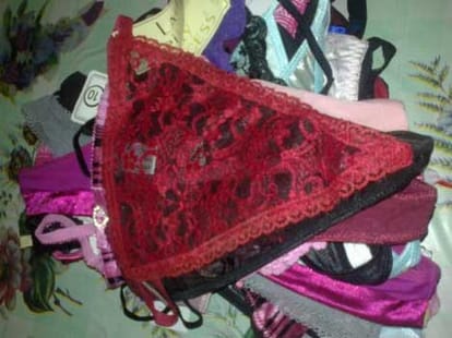 The driver stolen more than 300 female underwear