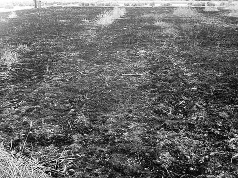Wires from spark to burn wheat Bigha