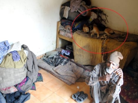 bed condition of shelter home.