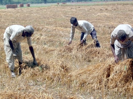Farmers are pessimistic of administration FILLIN