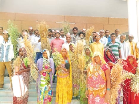 Following the destruction of the crop was not even any survey