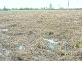 kisan news