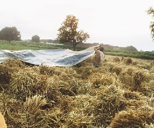 heart attack to a farmar after loss in crop