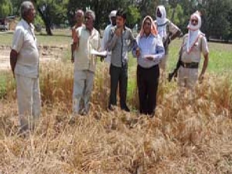 Czech farmers will get Rs 1500