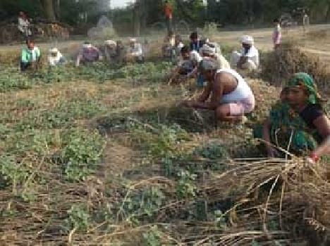 Opposition expressed by farmers crop out