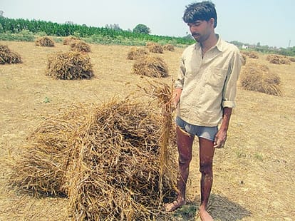 punjab and haryana highcourt big statement about haryana farmers