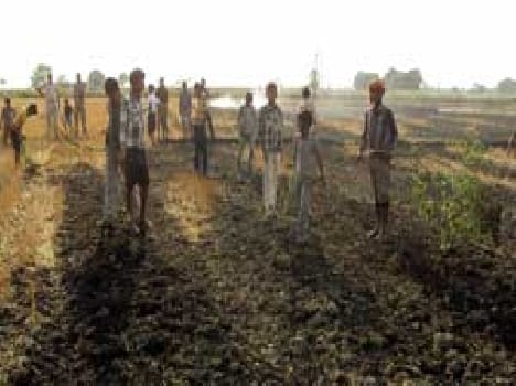 burnt crop by Short-circuit 