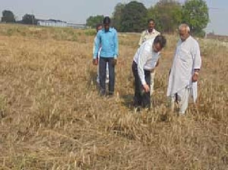 There is widespread loss of farmers