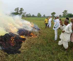 farmer burnt his crop