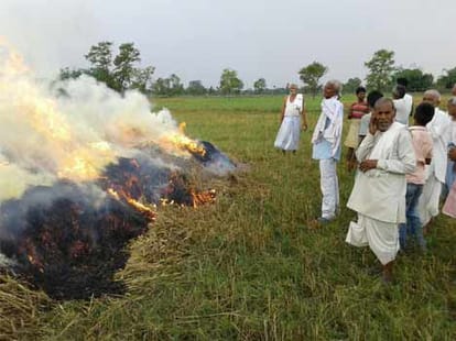 farmer burnt his crop