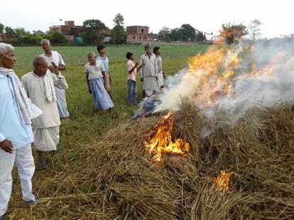 farmer burnt his crop