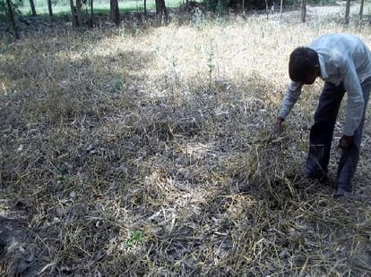 24 farmers died in last 24 hours.