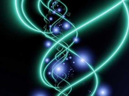 science and rebirth