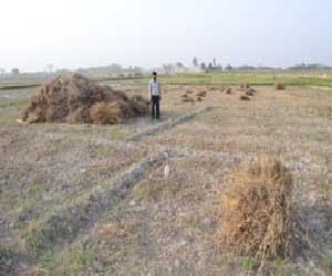 UP Farmers need huge amount of money.
