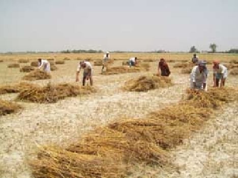 Working to protect crop farmers