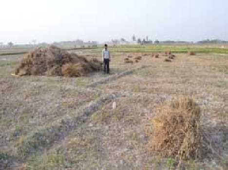 breath broke in the hope of Threshing 