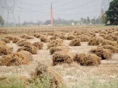 6000 crore rupees loss to farmers.