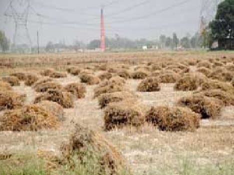 1100 million in debt to the district farmers
