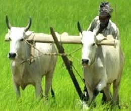 With electric water crisis deepens