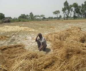 farmer mortgage his sons to repay his debt