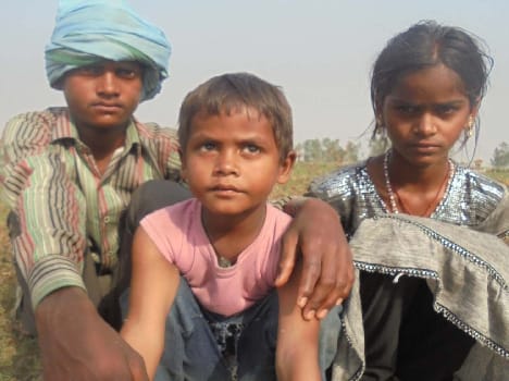 In the absence of treatment, the death of farmer