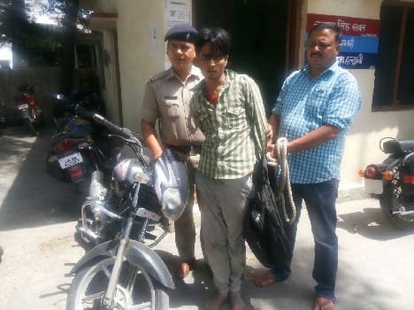 Thief arrested
