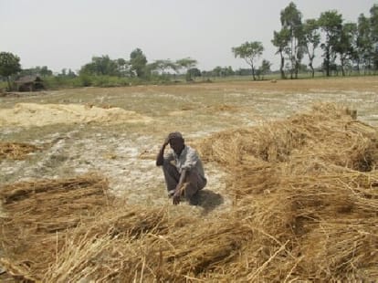 16 thousands per hectare loss in agriculture due to rain