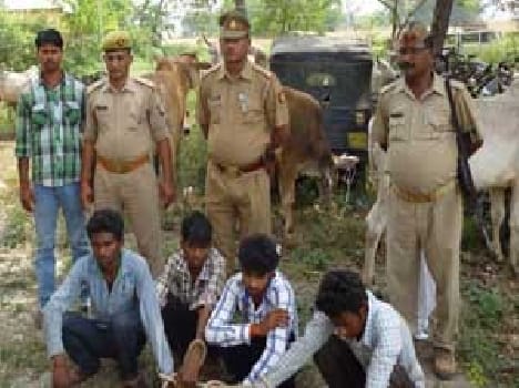 24 animals caged four traffickers