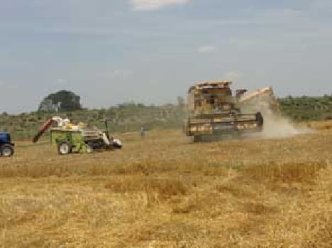 Threshing paying the asking price for the farmer