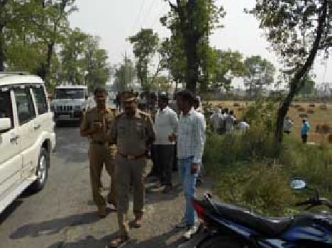 Tree clashed car, student's death