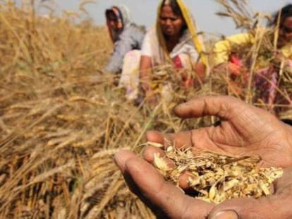 farmers don't suicide due to loss says birendra singh