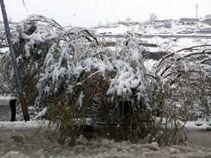 bad weather conditions in J&K, snowfall in kargil