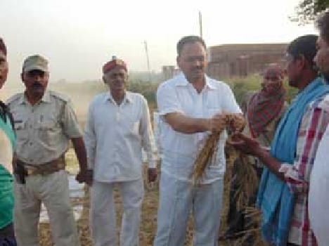 Black wheat farmers died two smashed