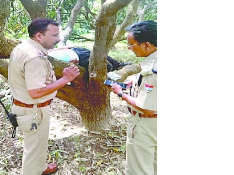 The operator of life by drinking poison tree