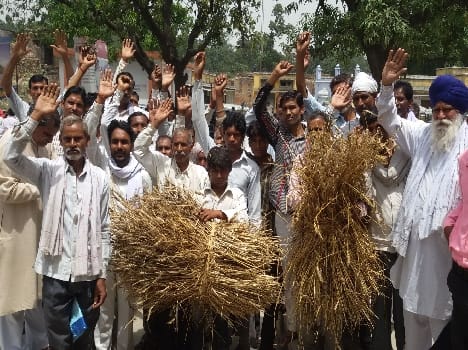 Angry farmers demonstrated absence survey