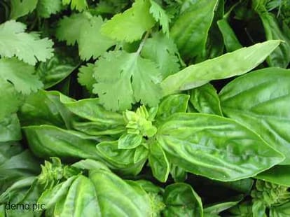 Now herbs cure cancer.