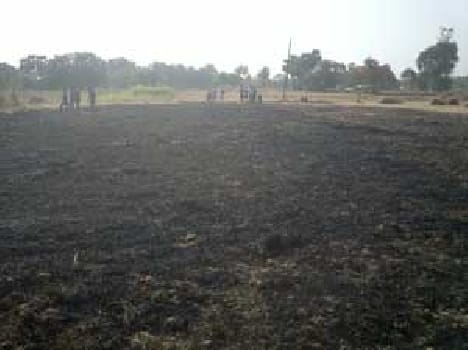 fire in six house and wheat crop