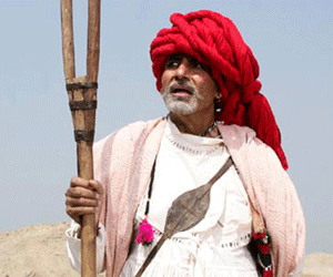 amitabh bachchan's farm are safe from rain 