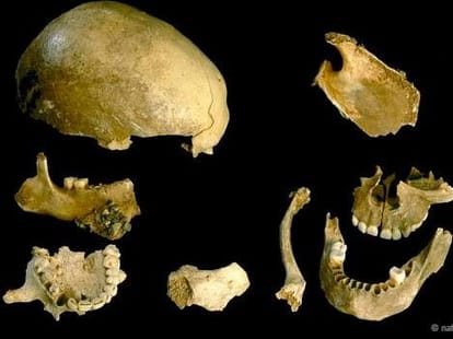 report on ancestors cannibals