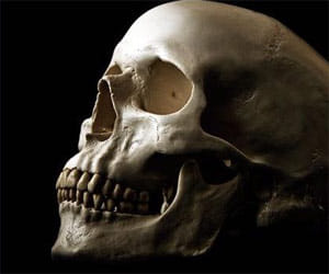 report on ancestors cannibals