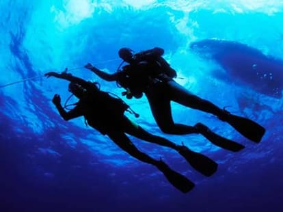23-year-old Woman Was Molested Underwater 