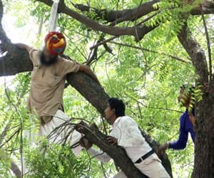 Home Ministry seeks report's in suicide case