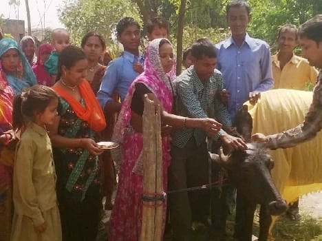 After completion of the validation Pdia made ??the tonsure