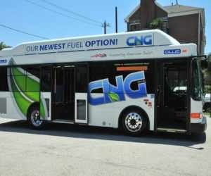 CNG buses will run in HP.