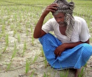 24 farmers died in last 24 hours.